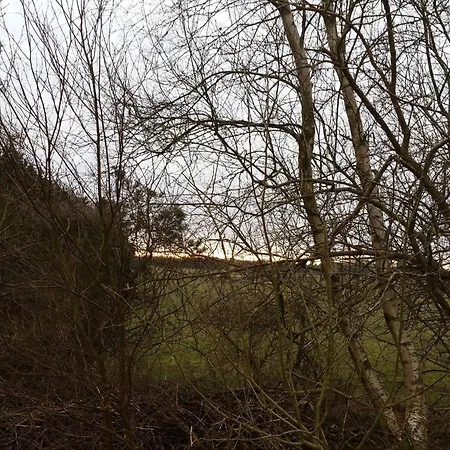 Hébergement de vacances Bright With Covered Terrace-by Traum